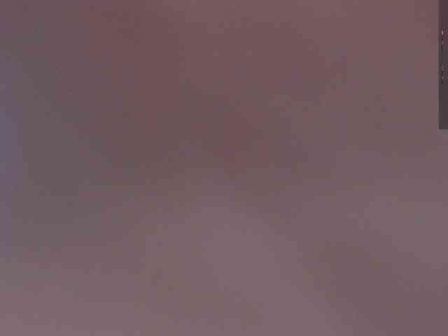 evapleasure Sex Cam Show