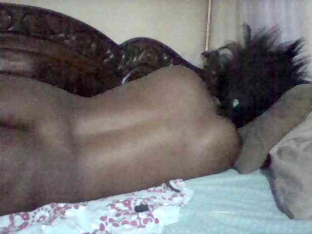 missarpie webcam