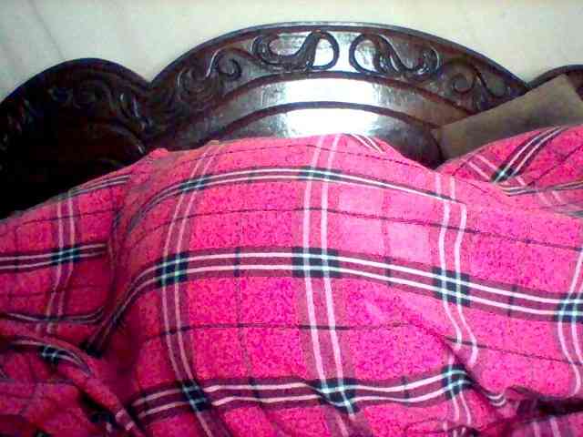 missarpie Live Webcam on BongaCams