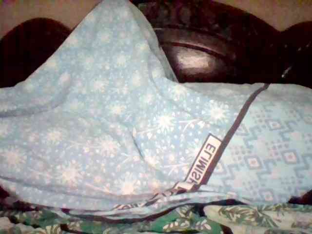 missarpie webcam