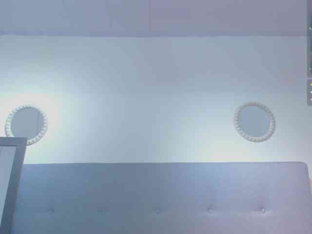 chaneelstark webcam