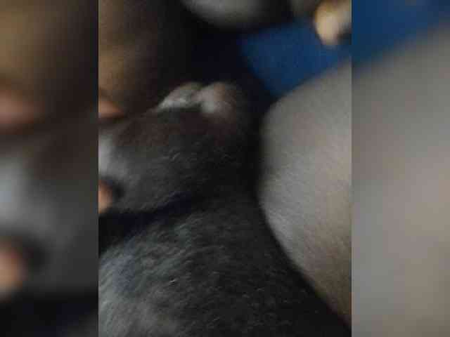 Kings042 webcam