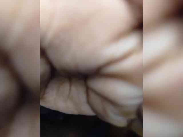 Kings042 webcam