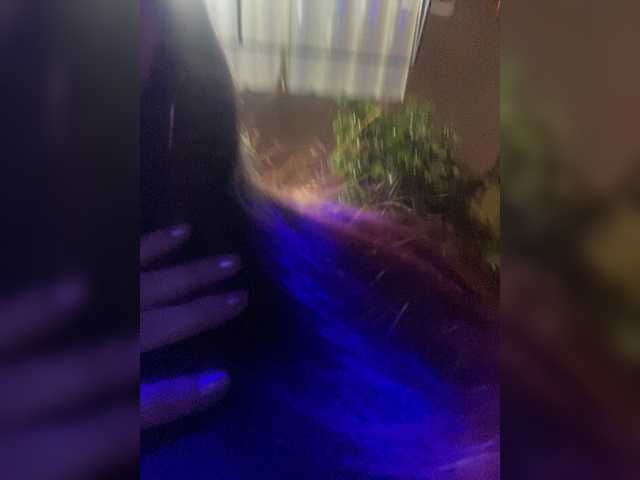 Pamela-Velvet