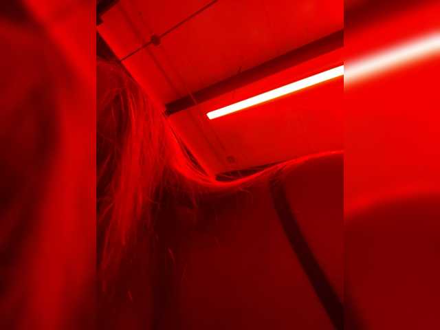 Pamela-Velvet