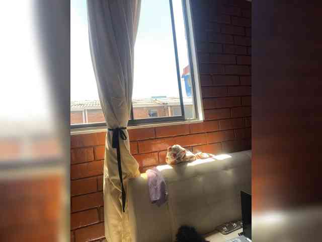 Pamela-Velvet webcam