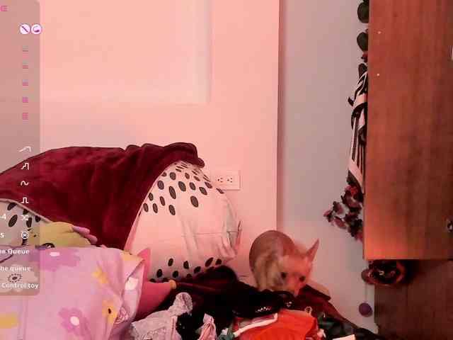 Pamela-Velvet webcam