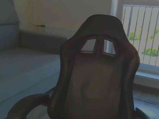 LisaShultz webcam