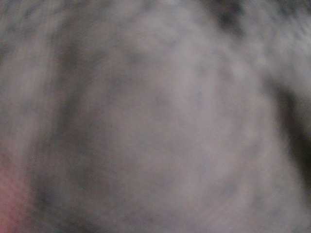 Strangerdanger2 live cam on BongaCams