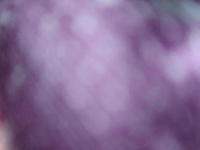 Strangerdanger2 webcam