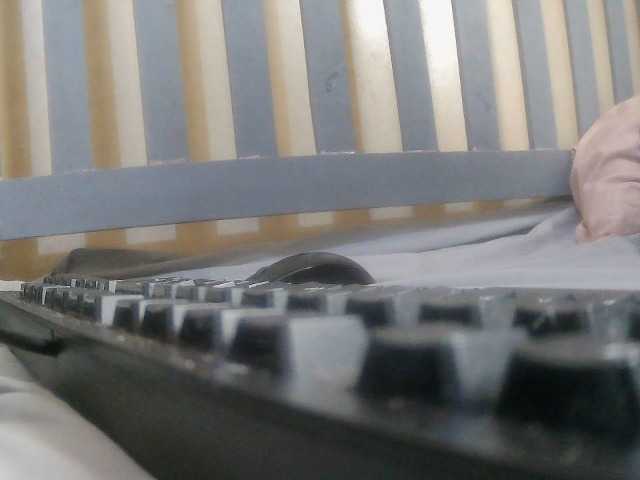 Strangerdanger2 live cam preview