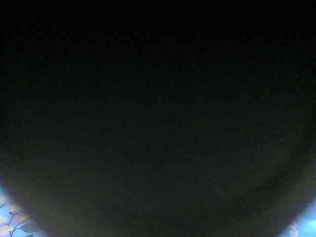 Strangerdanger2 webcam
