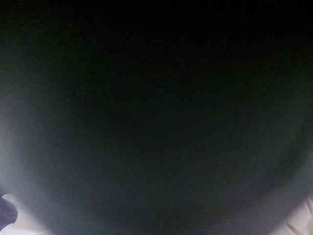 Strangerdanger2 webcam