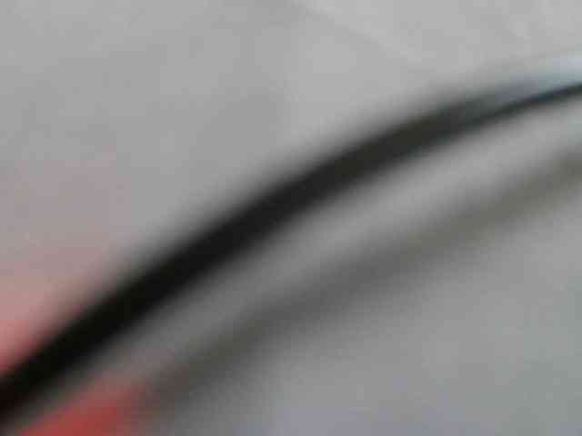 Strangerdanger2 webcam
