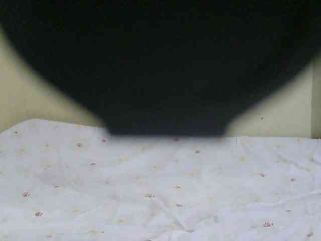 Strangerdanger2 webcam