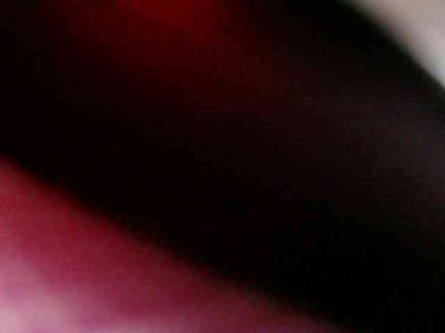 Strangerdanger2 webcam