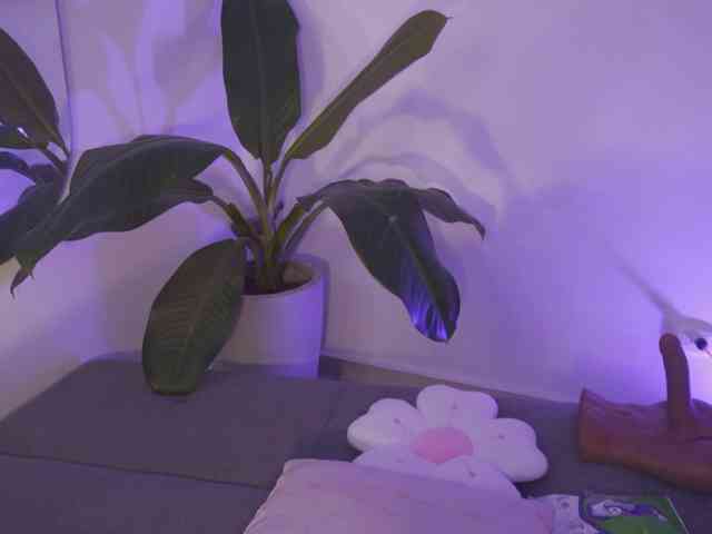 SaraWinstone1 webcam