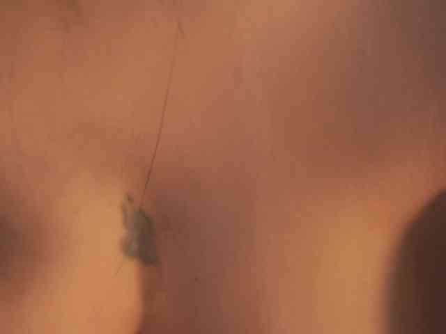 SaraWinstone1 webcam