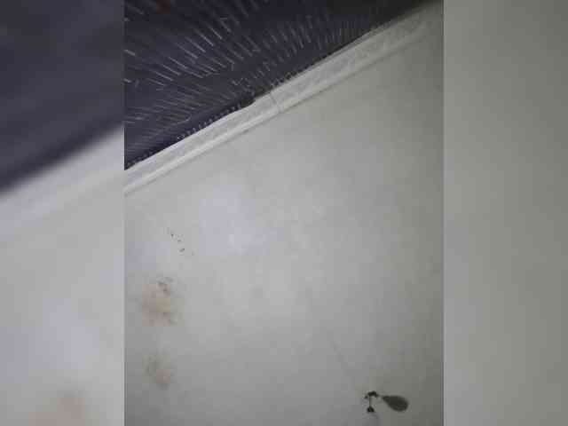 LisaVolk25 webcam