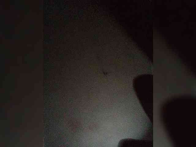 Модель: LisaVolk25