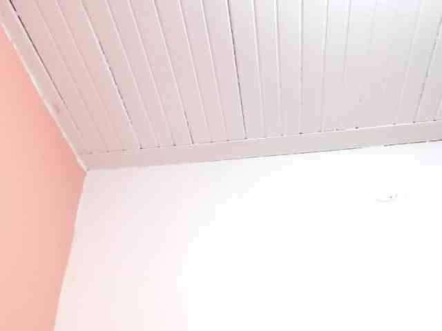 KarinaSuarez1 webcam