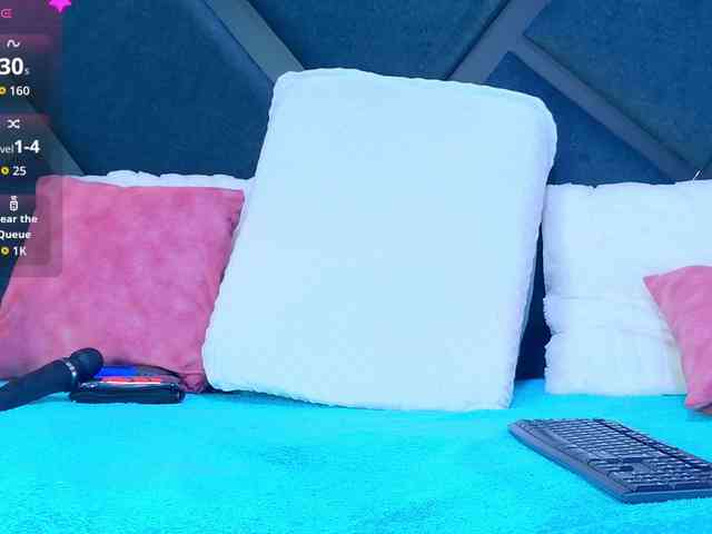 MiaSton webcam