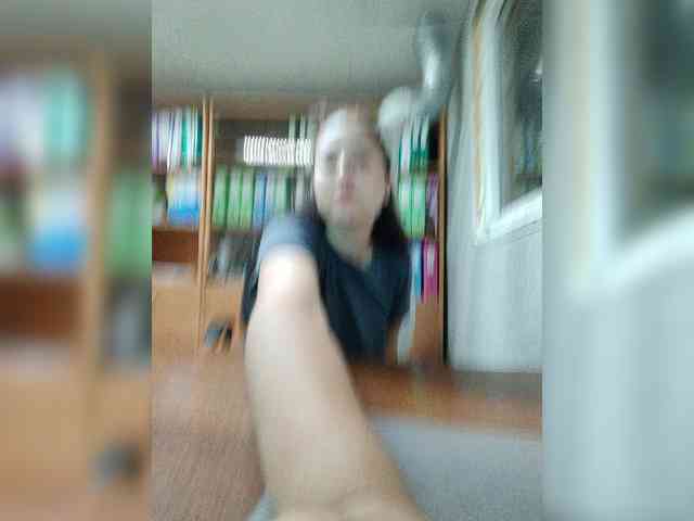 Model: Polyk93