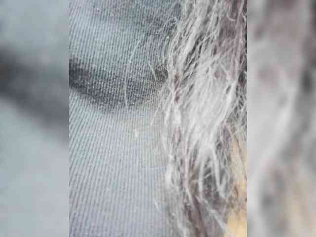 Polyk93 webcam
