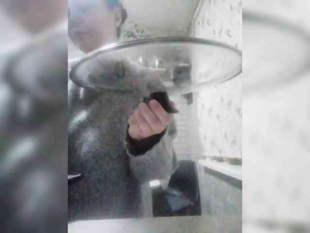Polyk93 webcam