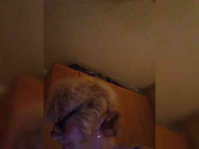 BoloshkaBlonda webcam