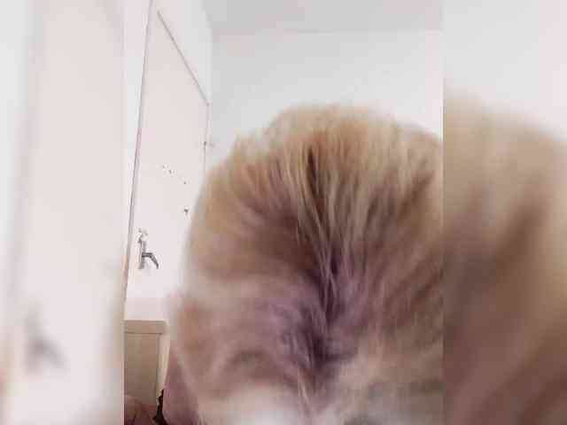 BoloshkaBlonda webcam