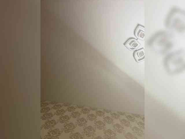 U-Moni webcam