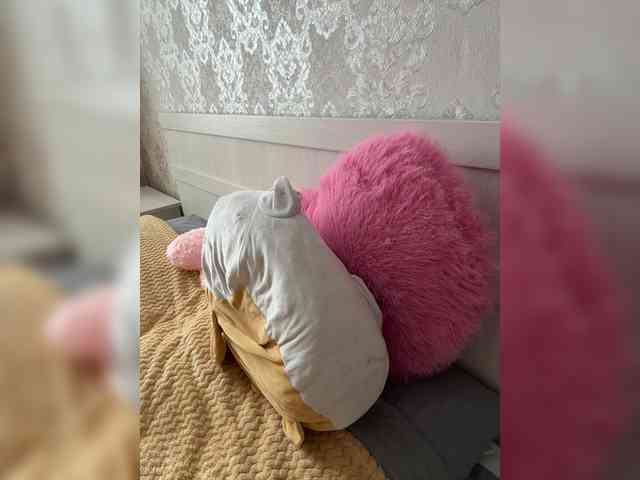 U-Moni webcam