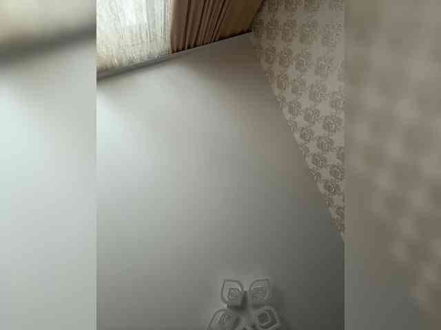 U-Moni webcam