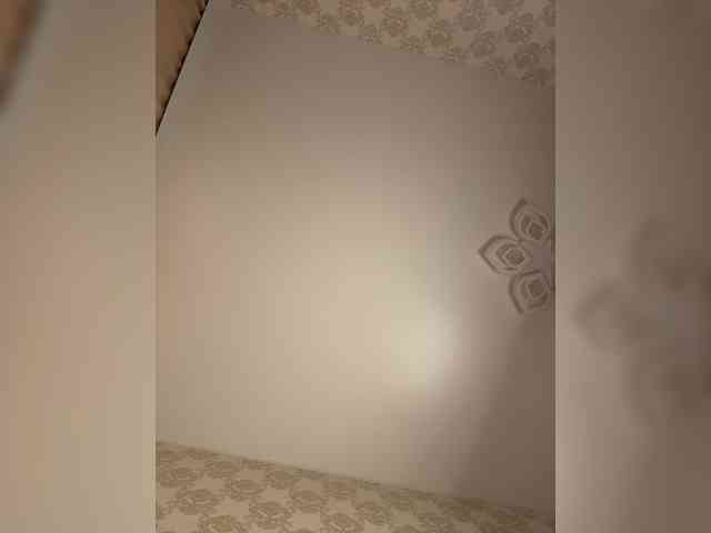 U-Moni webcam