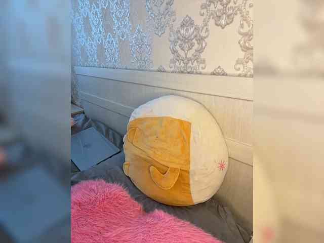 U-Moni webcam