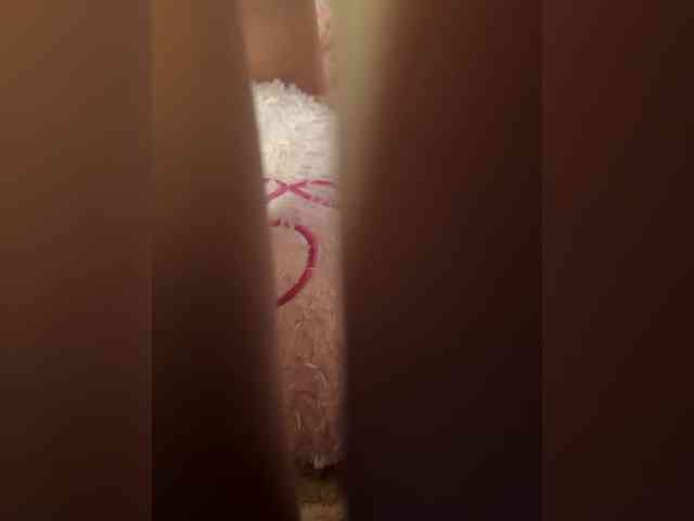 U-Moni webcam
