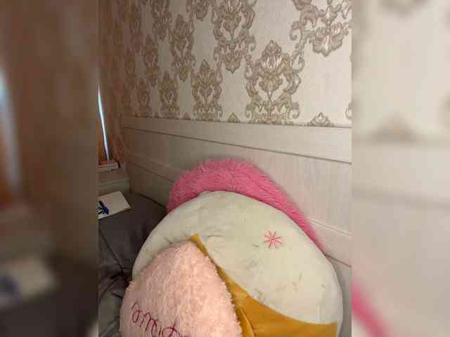 U-Moni webcam