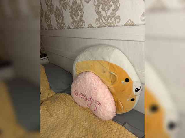 U-Moni webcam