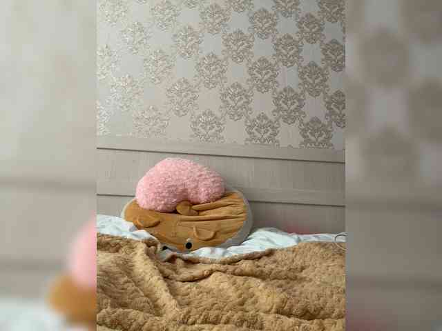 U-Moni webcam