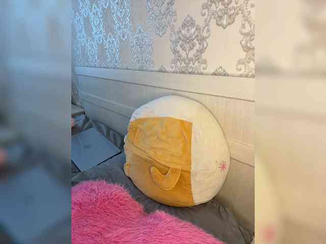U-Moni webcam