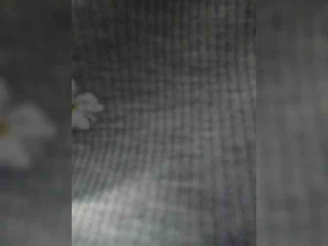 sara-coleman webcam