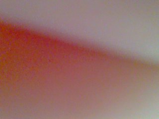 chocolate-brownie's Live Webcam