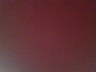 chocolate-brownie's Live Webcam