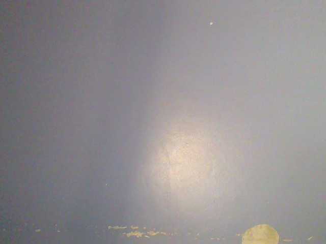 chocolate-brownie live cam on BongaCams