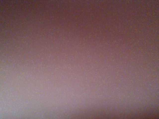 chocolate-brownie webcam
