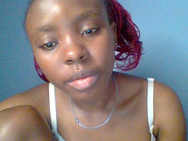 chocolate-brownie webcam