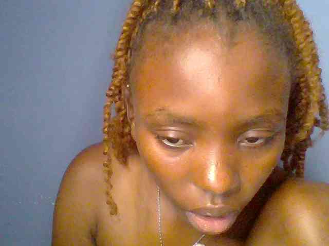 chocolate-brownie webcam