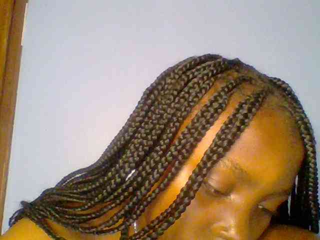 chocolate-brownie webcam