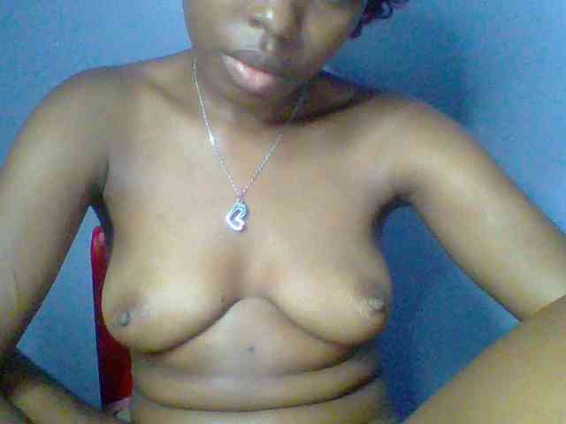 chocolate-brownie webcam
